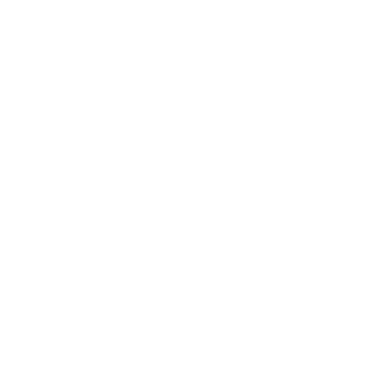 Execution Excellence
